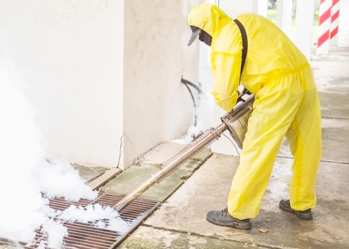 Fumigation Service in Delhi