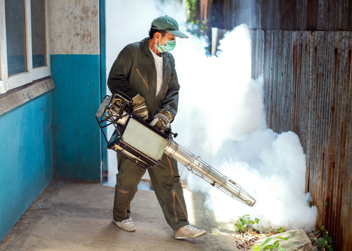 General Pest Control Service in Delhi